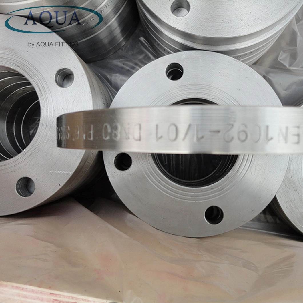 ANSI DIN Stainless Steel Orifice Flange (S304 316 403 F304, F310, F316)