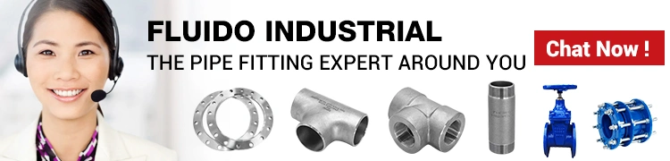 ANSI/DIN/En1092 Forged Carbon/Stainless Steel Pn10/16 Welding Neck/Blind/Slip on//Socket Welding Pipe Flanges