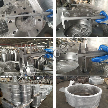 Pin10/Pin16/Pin25/Pin40 Forged Steel Welding Neck/Slip on/Blind/Threaded/Lap Joint/Flat Flange