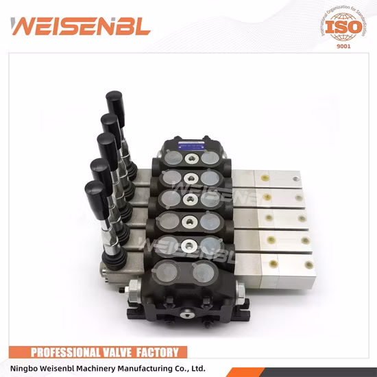 Dcv60 série 5 bobines de composants hydrauliques monobloc soupape de commande directionnelle pour le tracteur