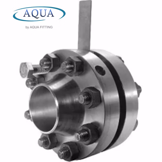 Bride d'orifice RF en acier au carbone forgé ANSI B16.5 classe 150-2000